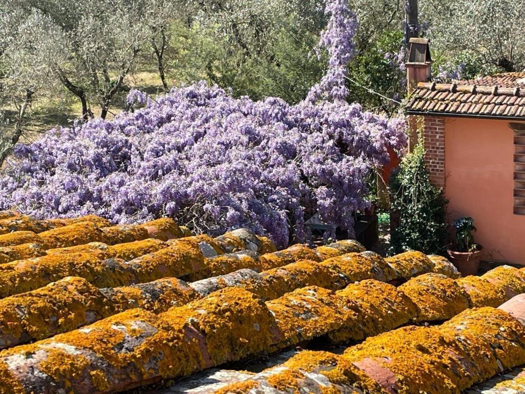 Agriturismo Podere Marchiano Larciano Buitenkant foto